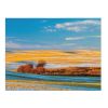 Grassland Backdrop Tapestry Landscape Bedroom Decorative Wall Tapestry Room Bedside Tapestry Painting Wall Art, 43x59 inch