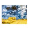 Gold Fields Backdrop Tapestry Landscape Bedroom Decorative Wall Tapestry Room Bedside Tapestry Painting Wall Art, 43x59 inch