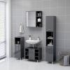 Bathroom Mirror Cabinet High Gloss Gray 24.6"x8.1"x25.2" Chipboard