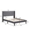 Upholstered Bed with Wings Design - Strong Wood Slat Support - Easy Assembly - Dark Gray Velvet, Queen, platform bed