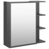 Bathroom Mirror Cabinet High Gloss Gray 24.6"x8.1"x25.2" Chipboard