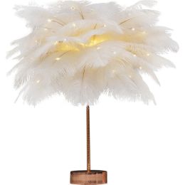 Feather Lamp Nordic Desk Lamp European-Style Bedroom Bedside Feather Table Lamp Night Light Table Lamp Decoration Modern (Color: White Flash USB)