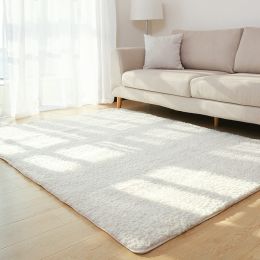 Living Room Rug Area Solid Carpet Fluffy Soft Home Decor White Plush Carpet Bedroom Carpet Kitchen Floor Mats White Rug Tapete (China) (Color: White, size: 80x160cm)