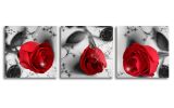 Black and Red Wall Art Red Rose Canvas Prints for Living Room Flower Paintings for Home Bedroom Bathrooms Decor Large