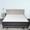 Mattress 12 Inch