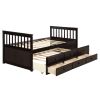 Captain's Bed Twin Daybed with Trundle Bed and Storage Drawers, White