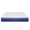 Mattress 10 Inch