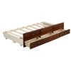 Captain's Bed Twin Daybed with Trundle Bed and Storage Drawers, White