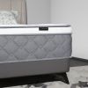 Mattress 10 Inch Gray and white