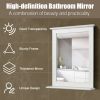 Wall-Mounted Multipurpose Vanity Mirror with Shelf