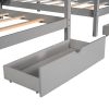 Double Shared Twin Size Canopy Platform Beds with Two Drawers and Built-in Desk