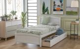 Twin size Platform Bed with Two Drawers